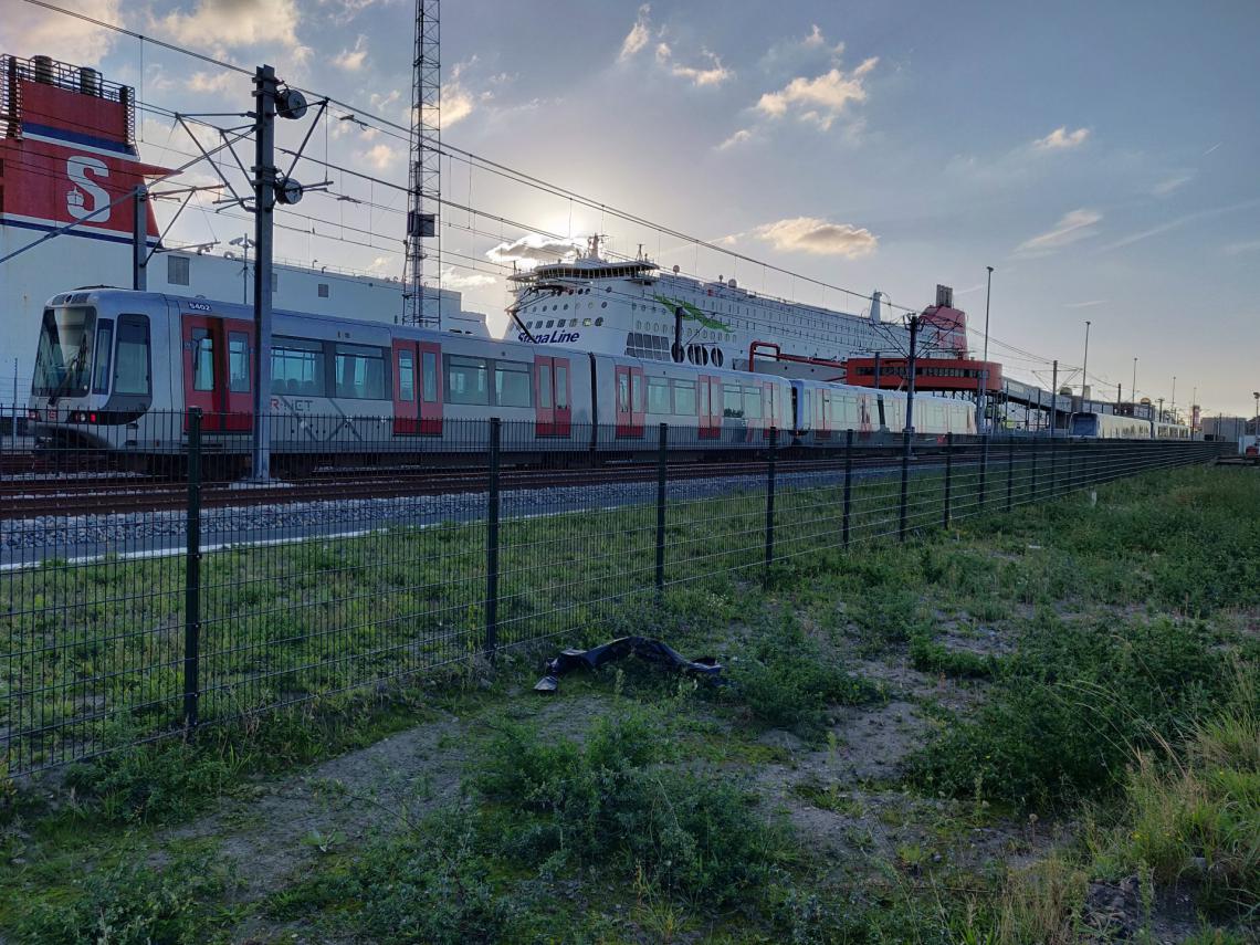 Metro's bij Hoek van Holland Haven